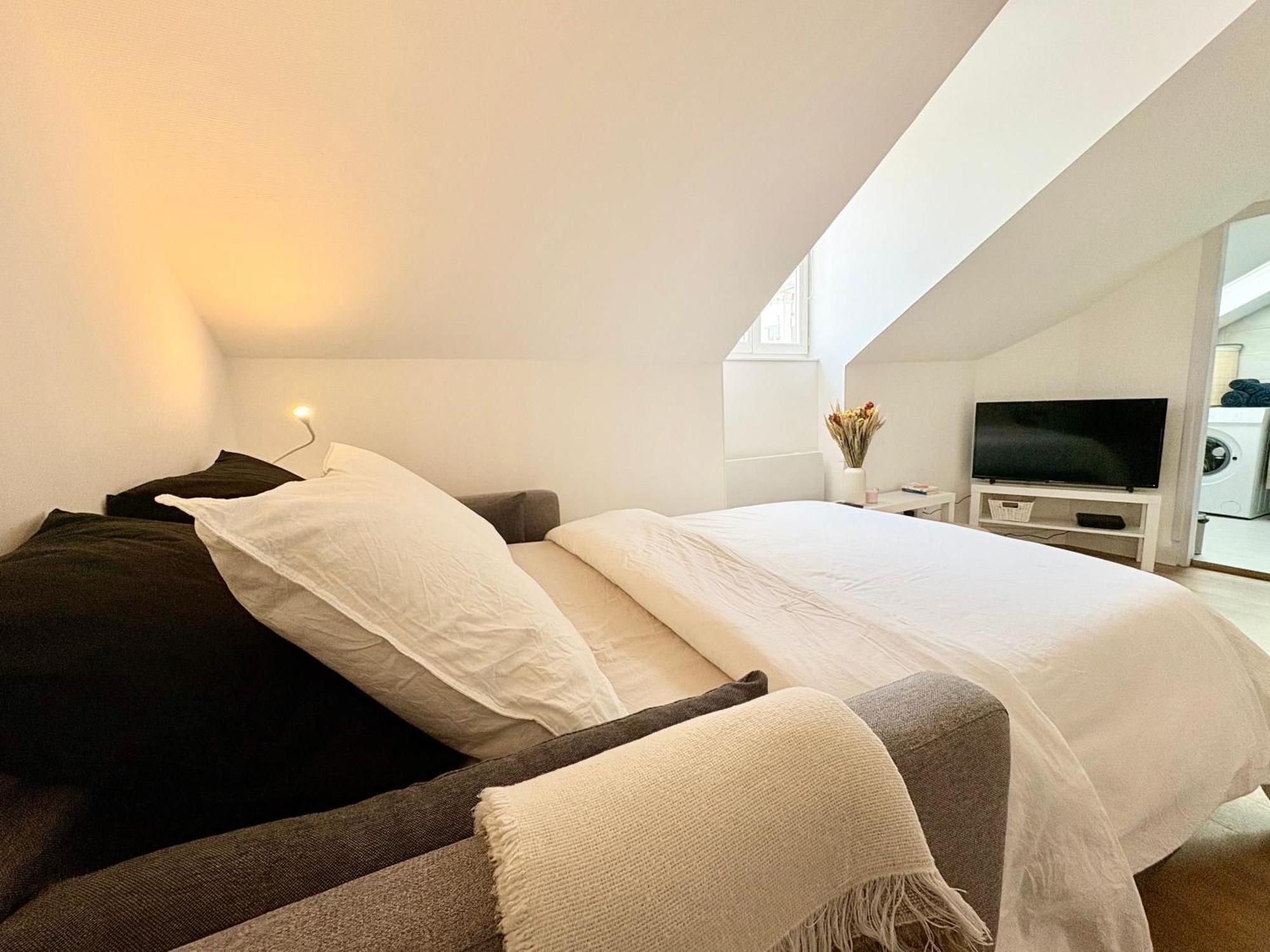 Le Coeur Des Alpes Apartment Grenoble